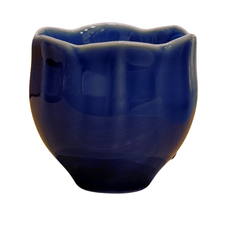 Tea Cup lotus Series