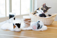 Ishizuka Coconeco Calico Kitten - J Mart