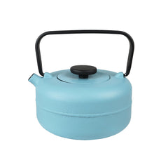 Cast Iron Teapot - Light Blue 800ml