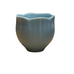 Tea Cup lotus Series