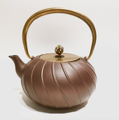 Cast Iron Teapot-dark brown