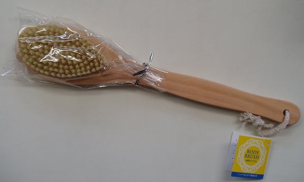 body brush
