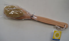 body brush
