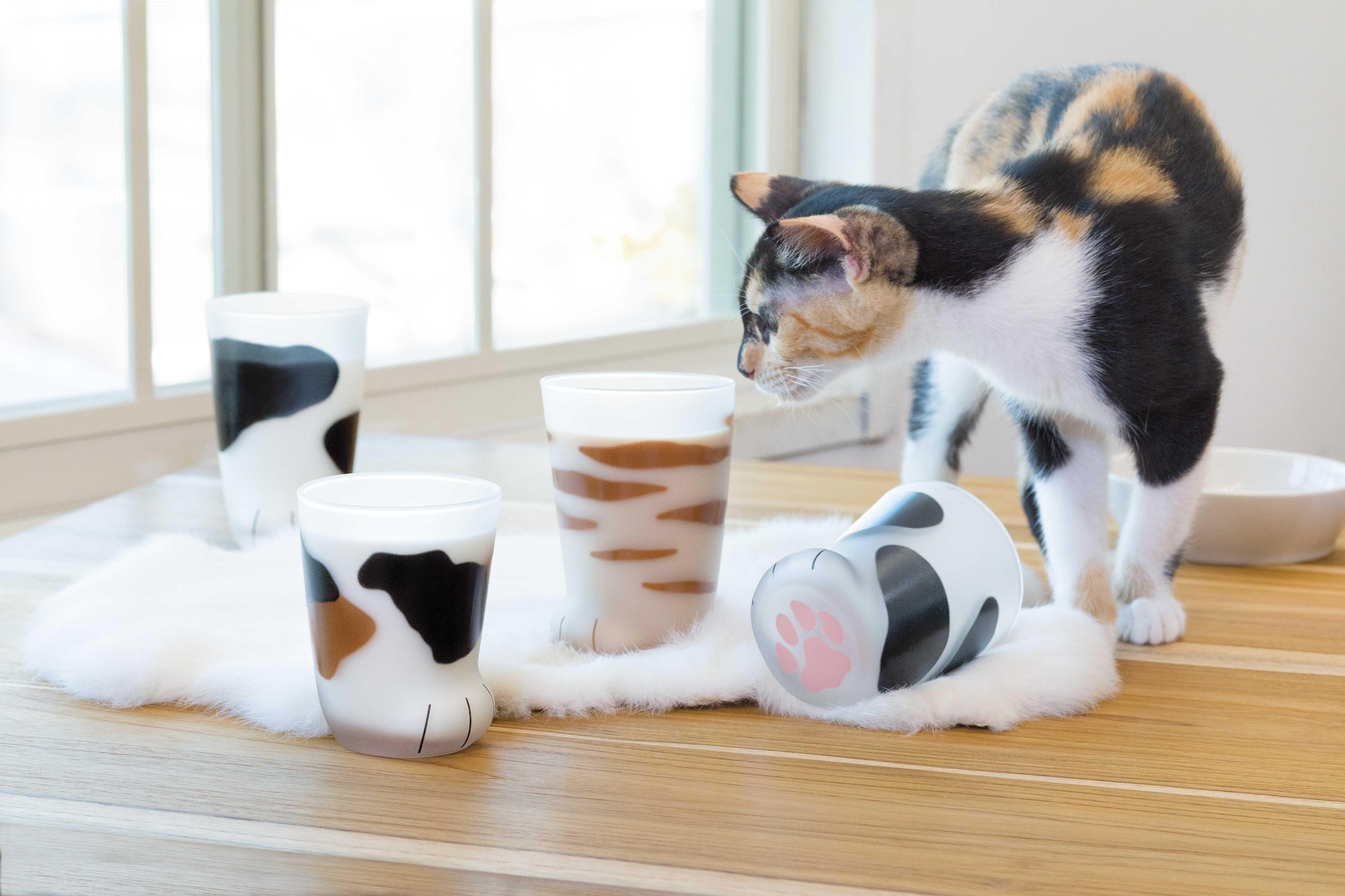 Ishizuka Coconeco Calico Kitten - J Mart